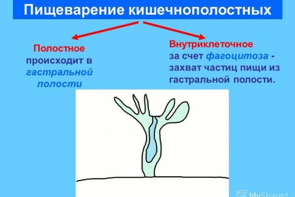 Можно ли вывести деньги с кракена